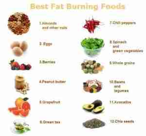 12 best fat burning foods list of almonds, eggs, berries, peanut butter, grapefruit, green tea, chili peppers, spinach and green vegetables, whole grains, beans and legumes, avocados and chia seeds