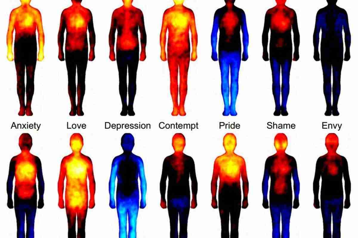 thermal body diagrams for each emotion, for example anger has red heat in the heart region