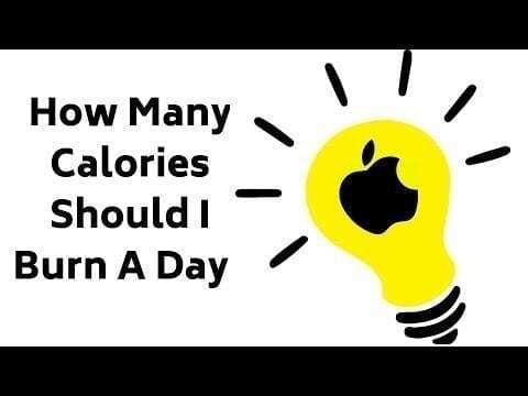 how many calories should i burn a day