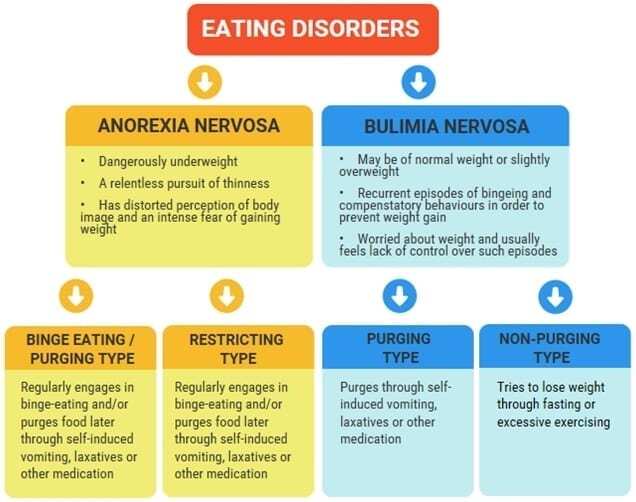 types of eating disorders with anorexia nervosa and bulimia nervosa being the two main categories