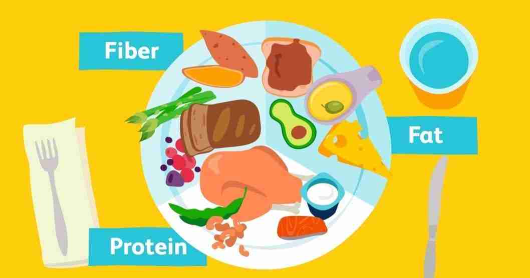 fiber protein and fat