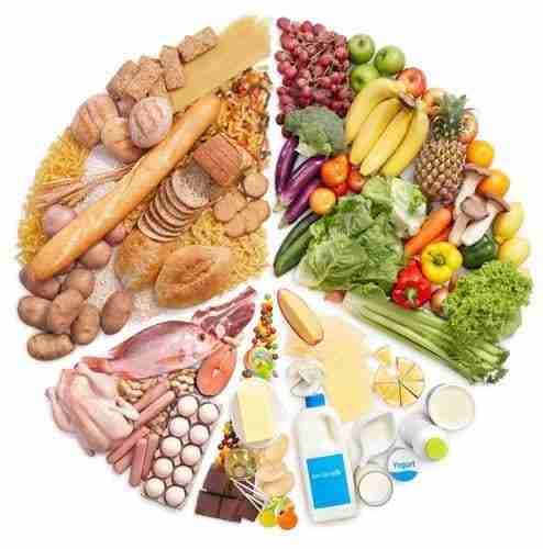 food circle