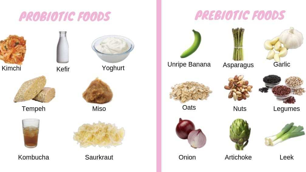 prebiotic and probiotic foods