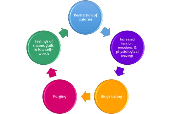 restriction of calorie diet cycle