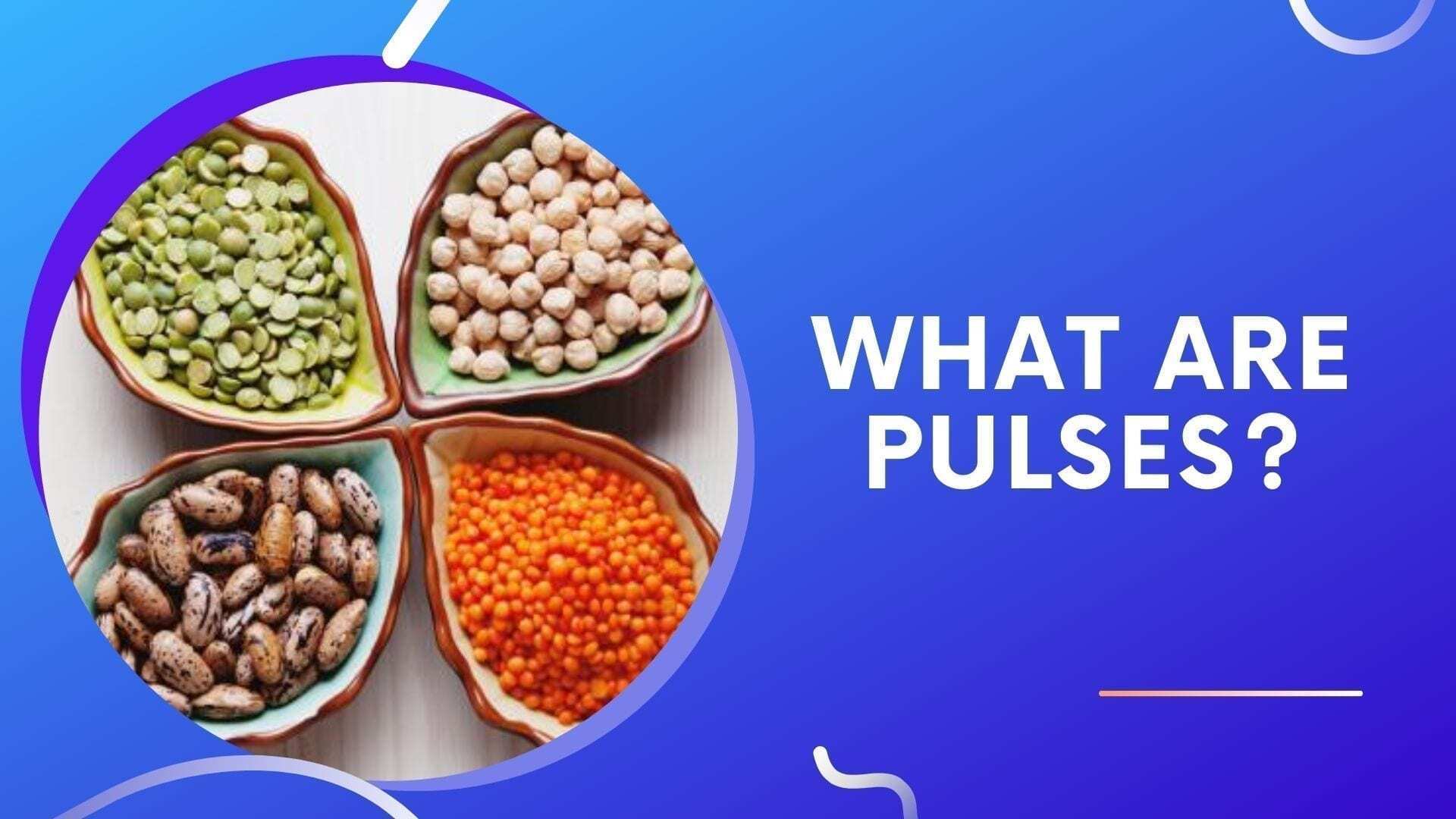 What Are Pulses?