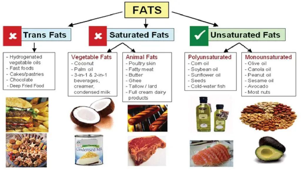 trans fats saturated fats and unsaturated fats
