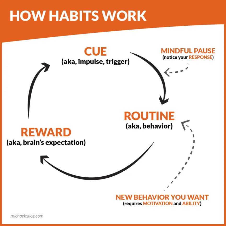 habit cycle pause break