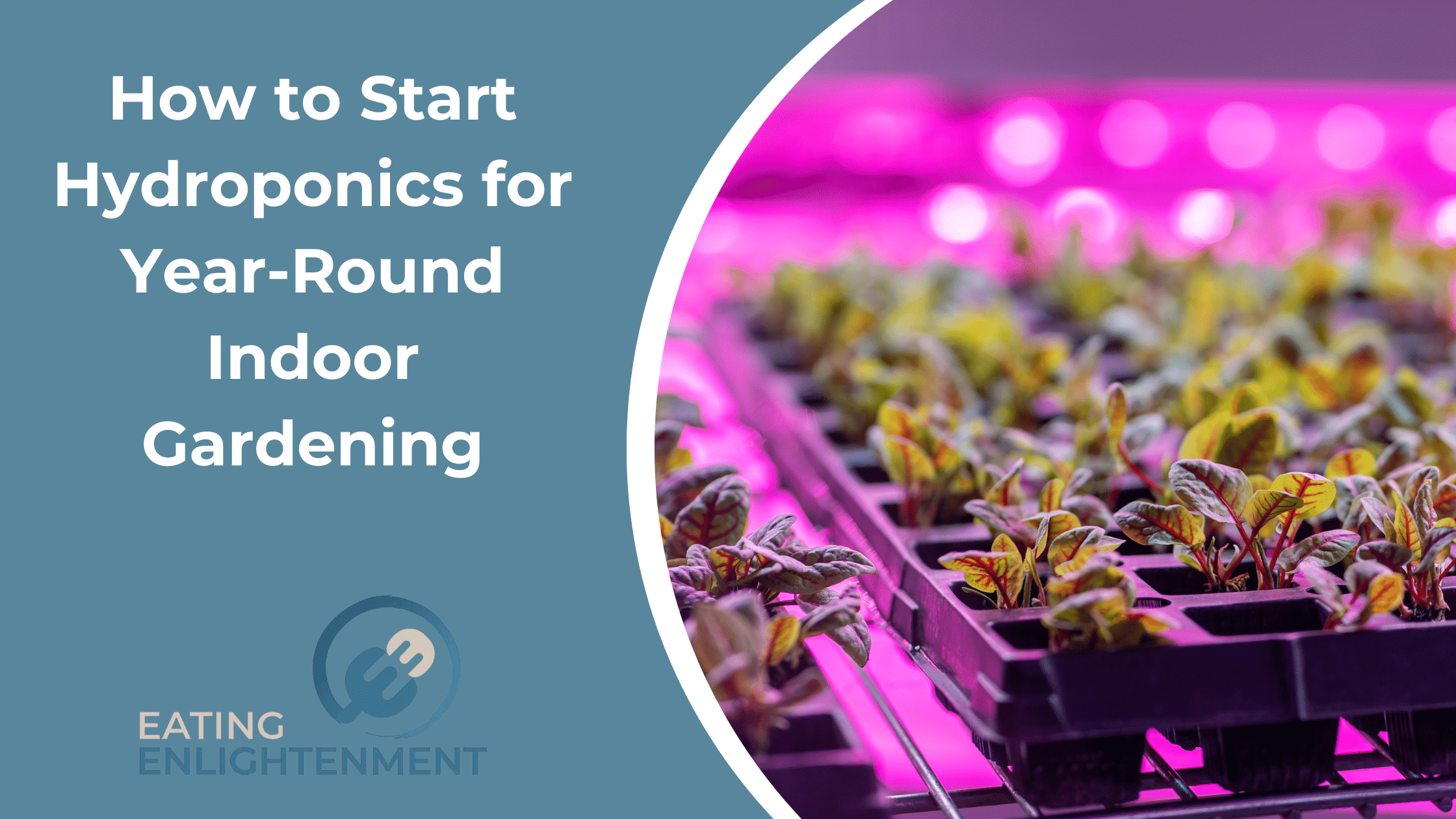 How to Start Hydroponics for Year-Round Indoor Gardening