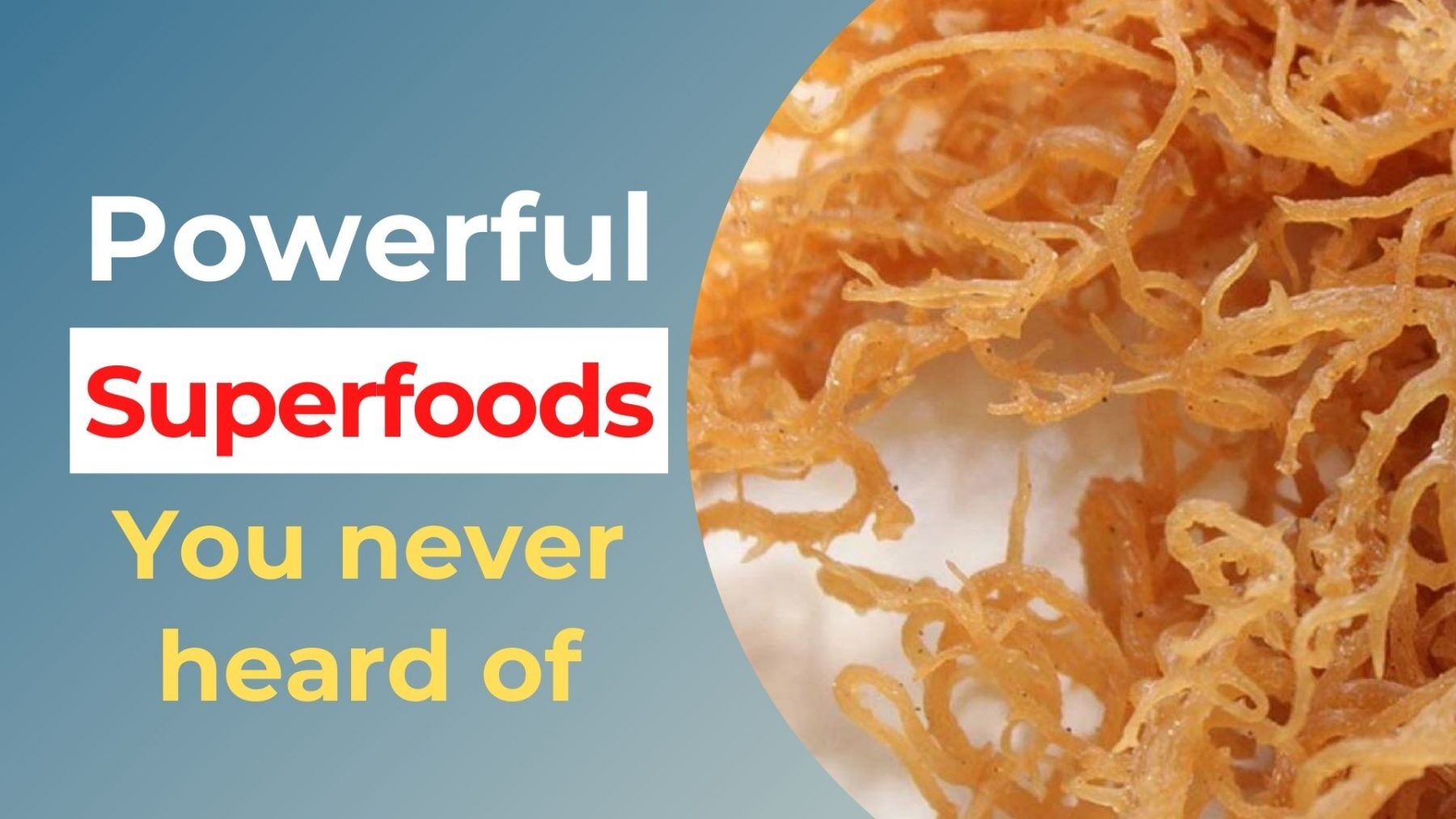 powerful superfoods you never heard of