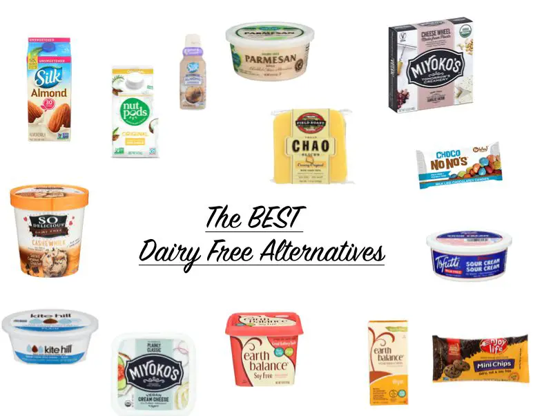 lactose free alternatives