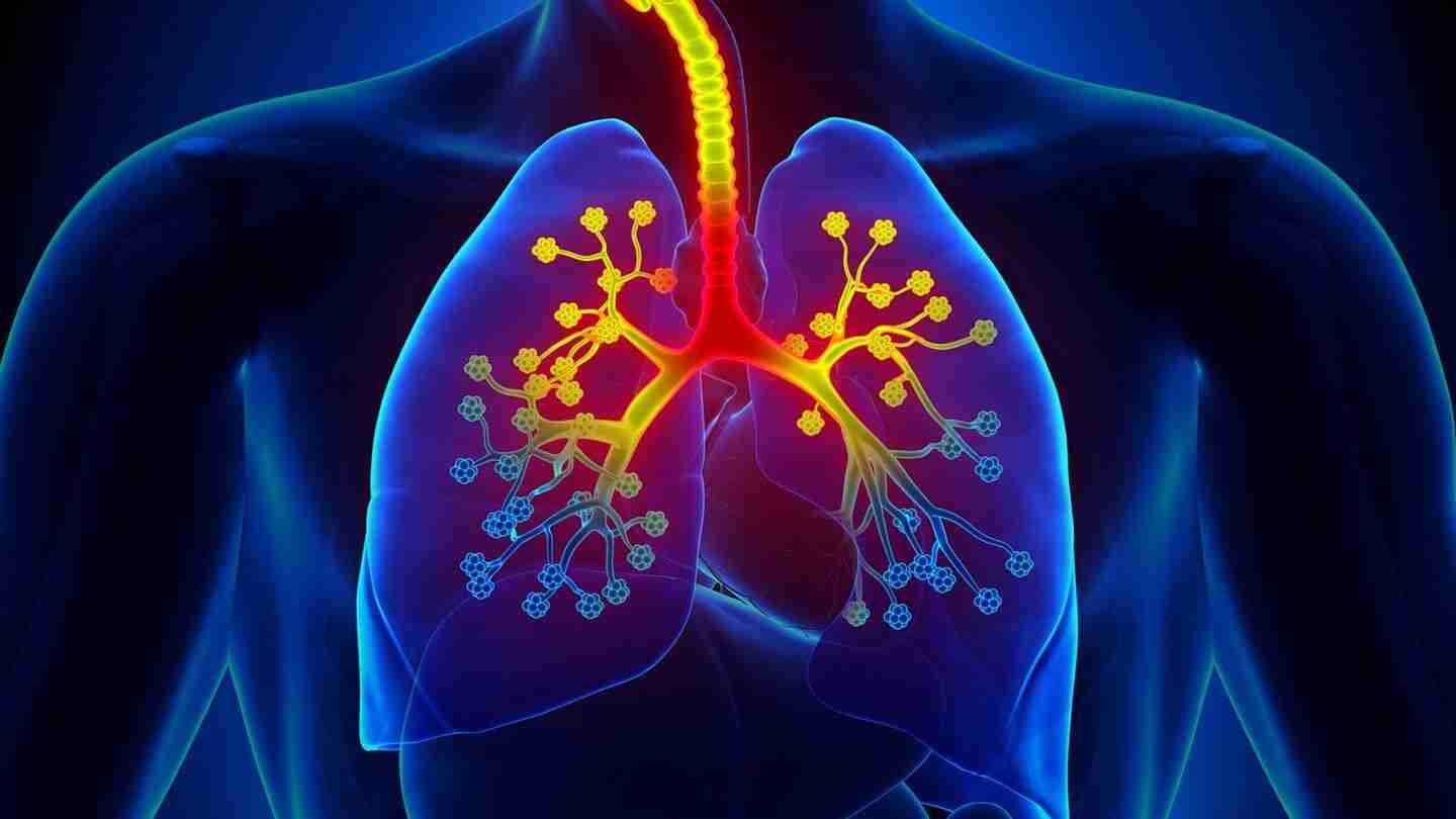 Edible Gold: Uncover 4 Astonishing Health Perks