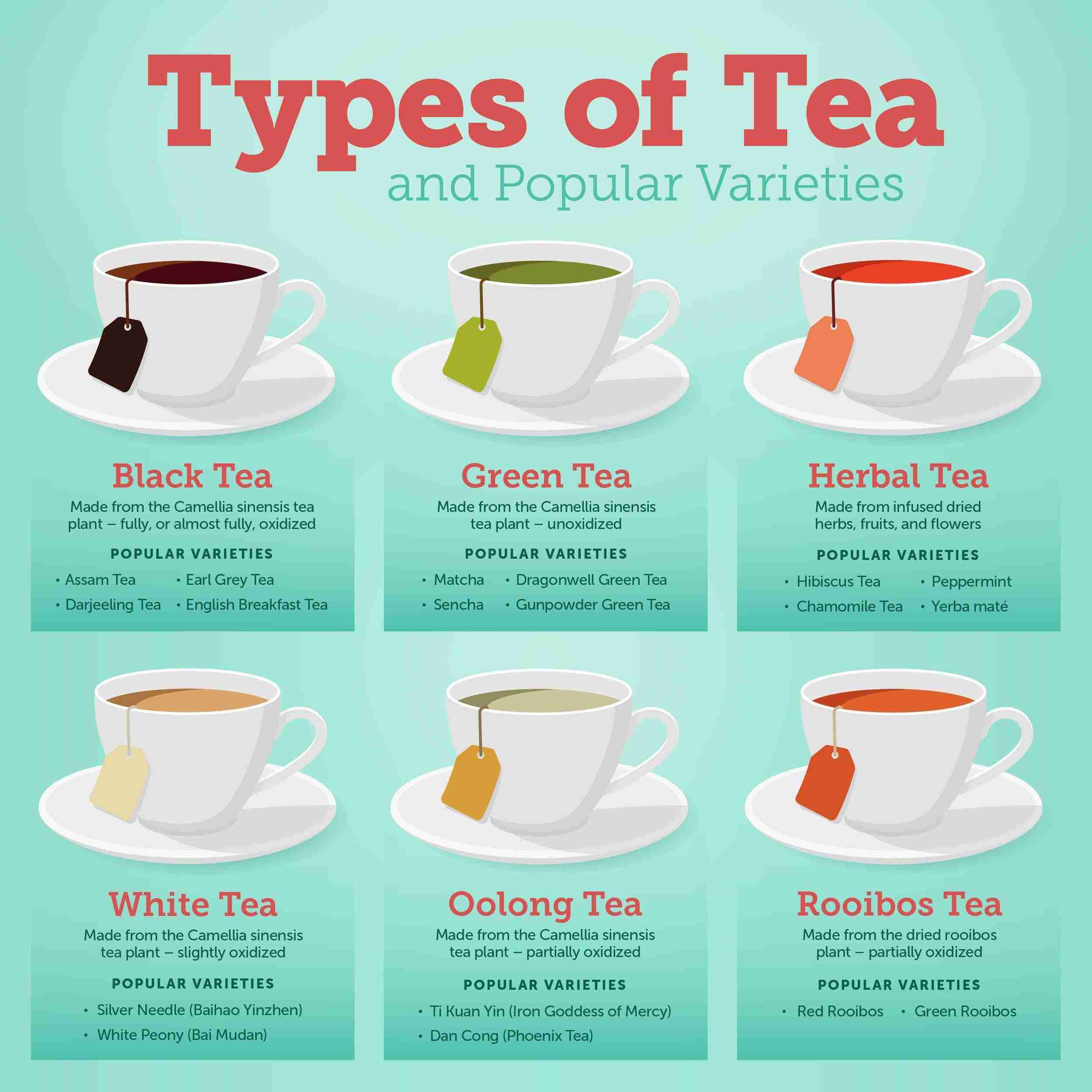 types-of-tea-infographic