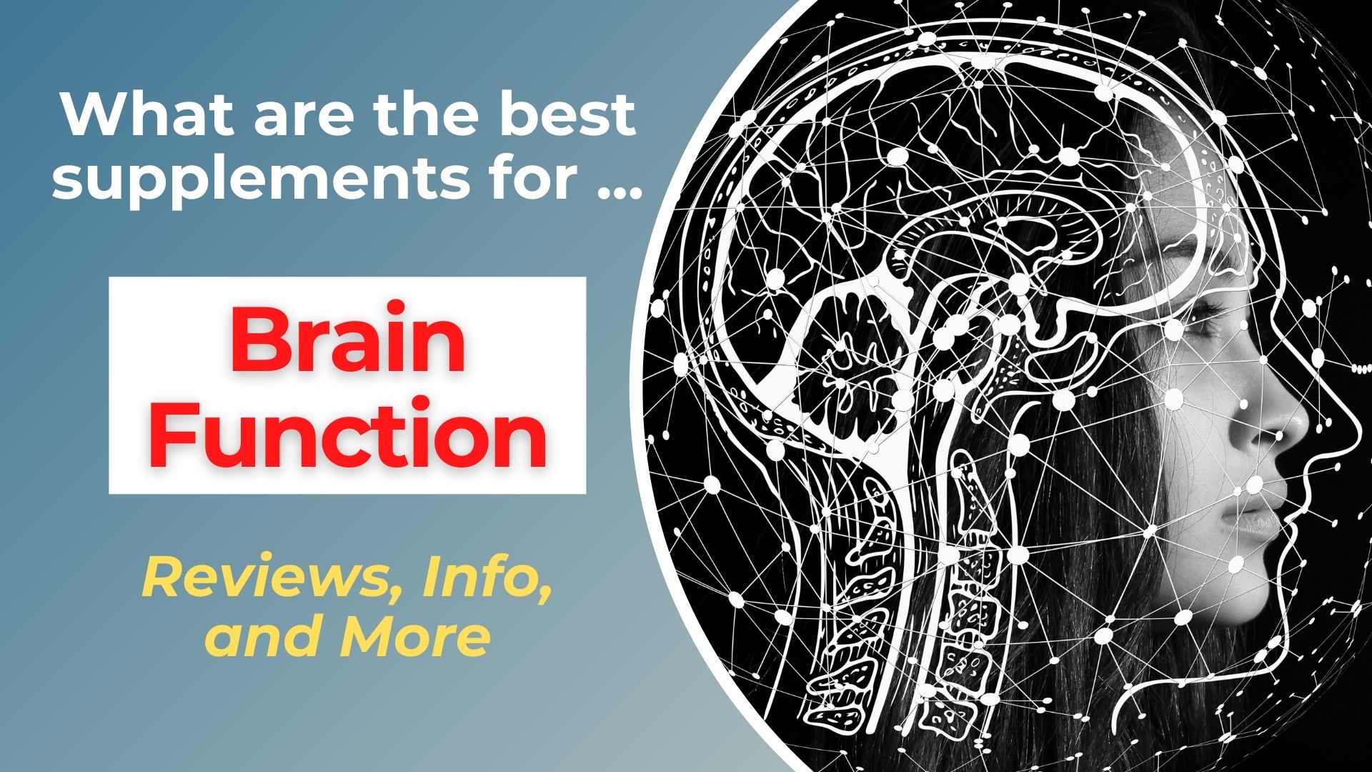 Best Supplements for Brain Function