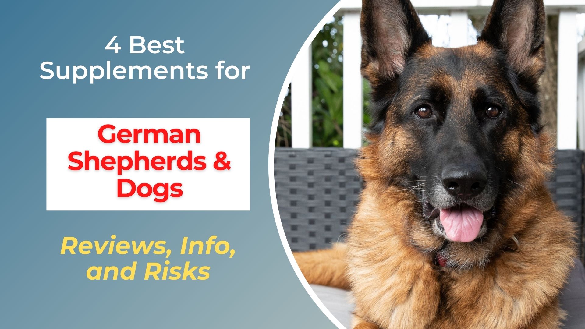 Best Supplements for German Shepherds