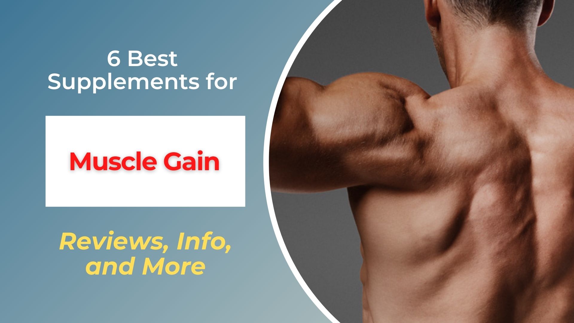 Best Supplements for Muscle Gain