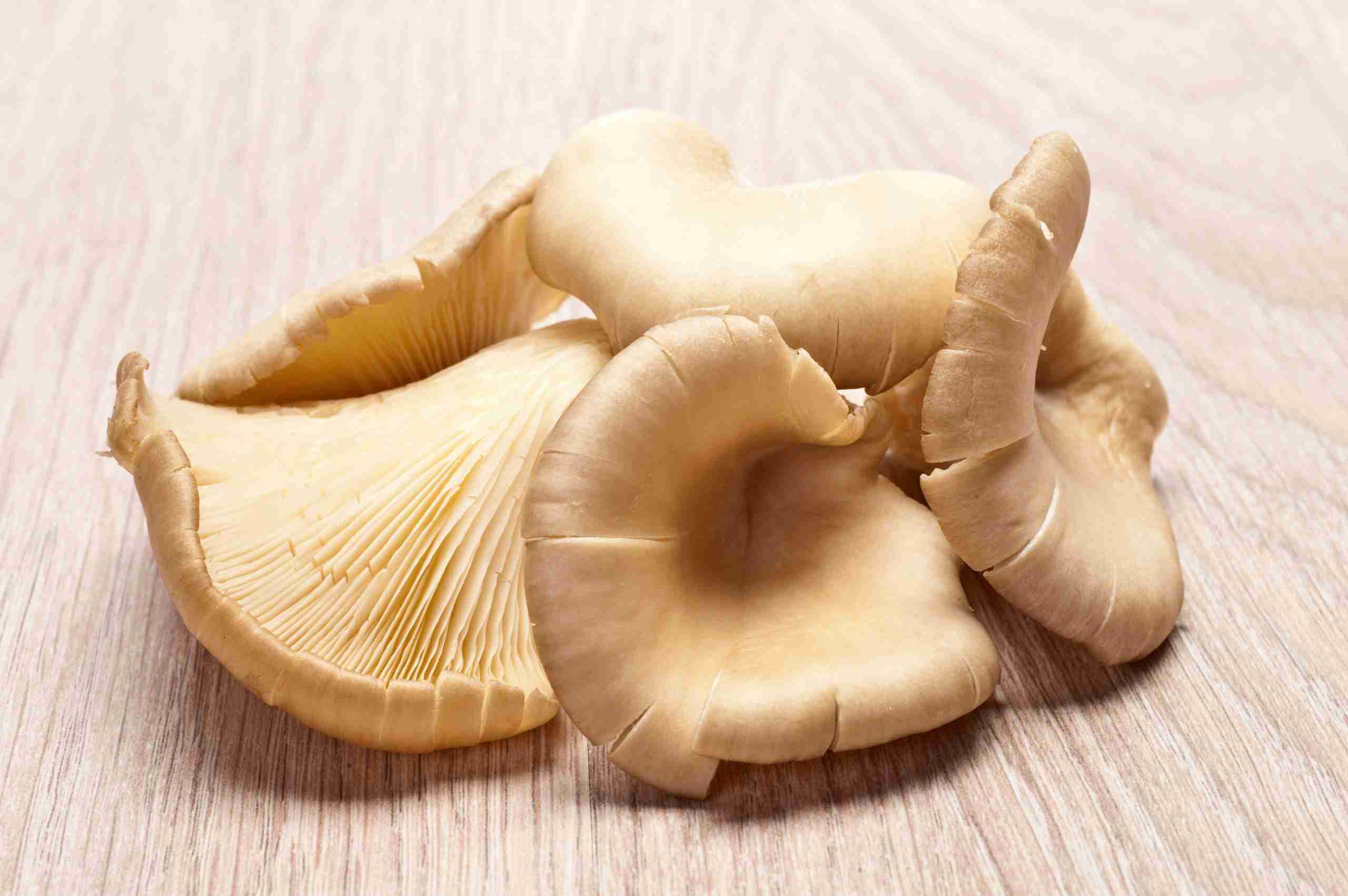 Craving Mushrooms? Here Are the Top 5 Fascinating Explanations