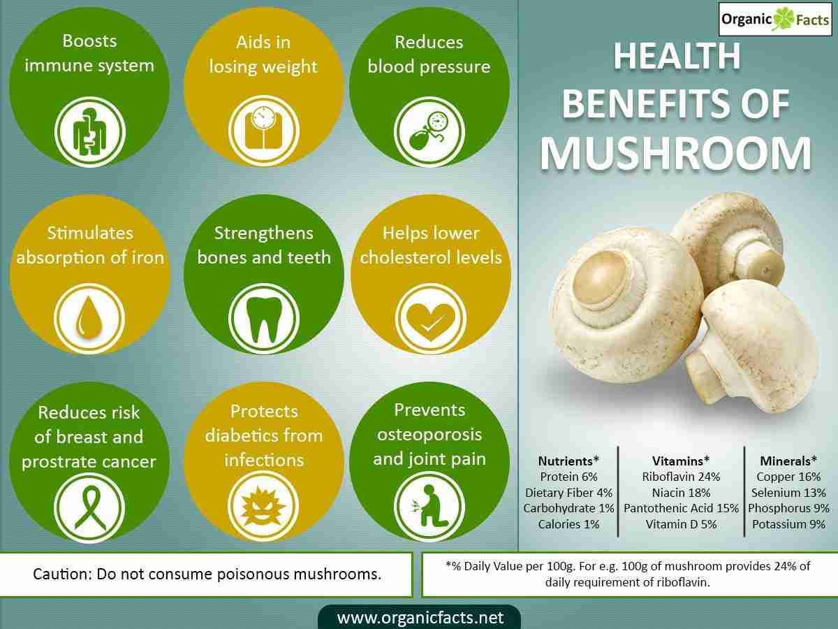 Craving Mushrooms? Here Are the Top 5 Fascinating Explanations