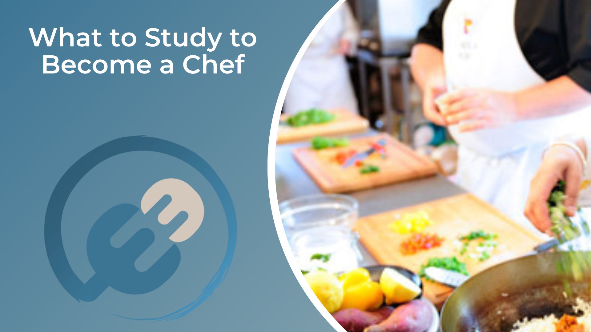 what to study to become a chef.