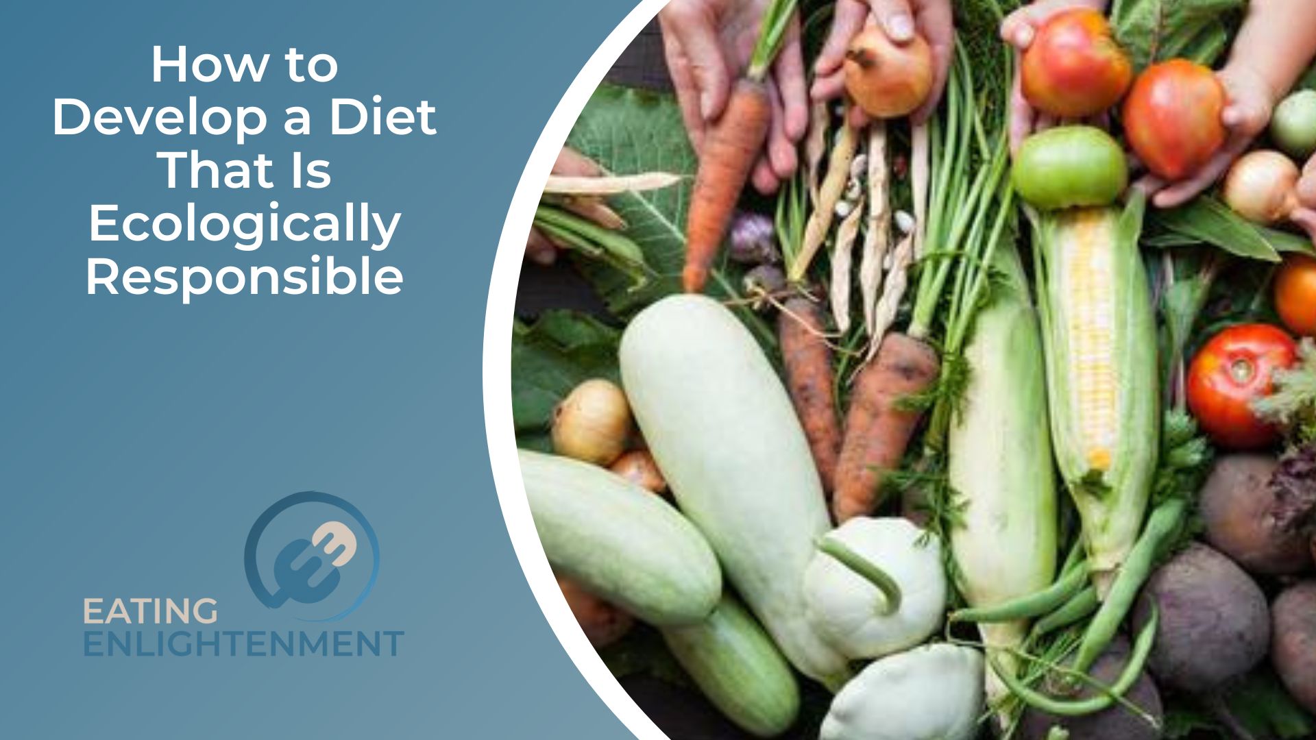 How to Develop a Diet That Is Ecologically Responsible