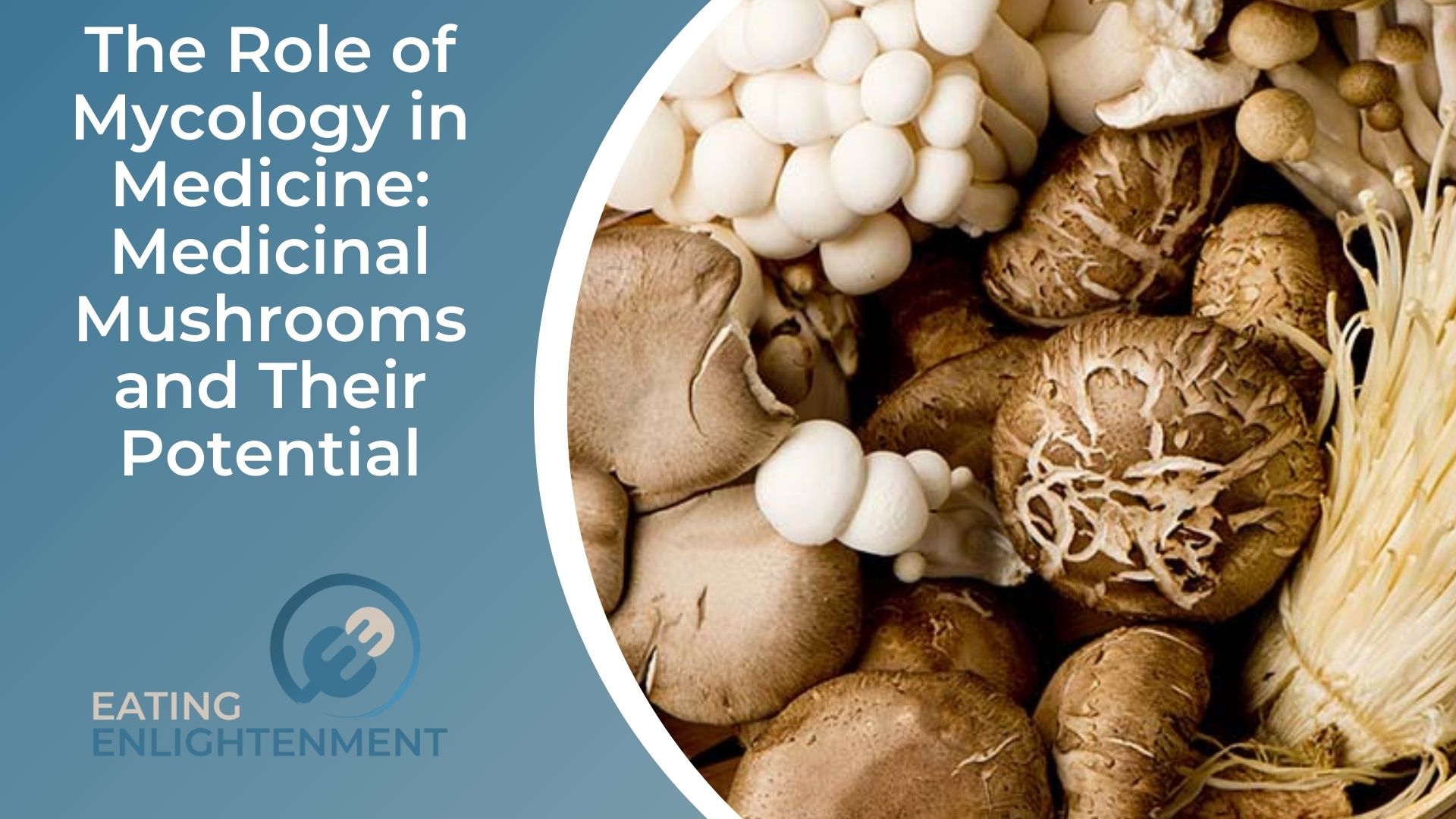 The Role of Mycology in Medicine Medicinal Mushrooms and Their Potential
