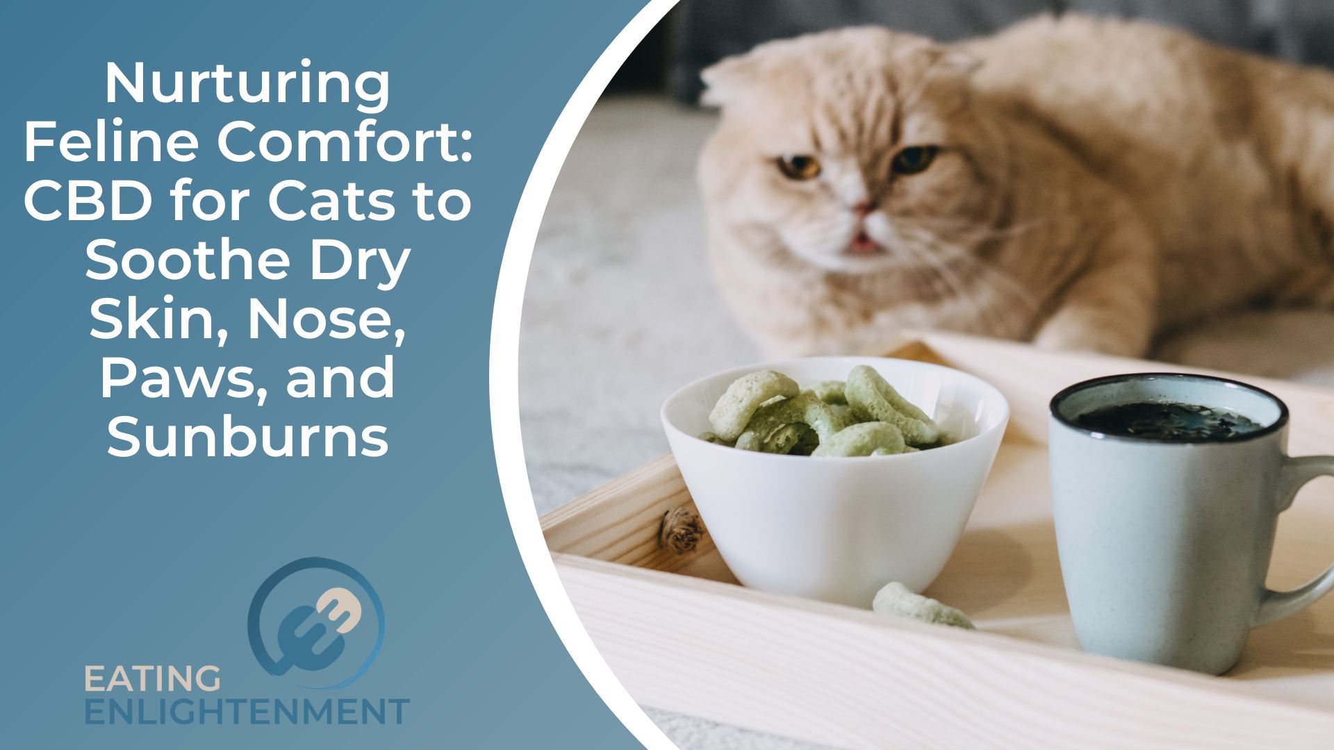 Nurturing Feline Comfort CBD for Cats to Soothe Dry Skin, Nose, Paws, and Sunburns