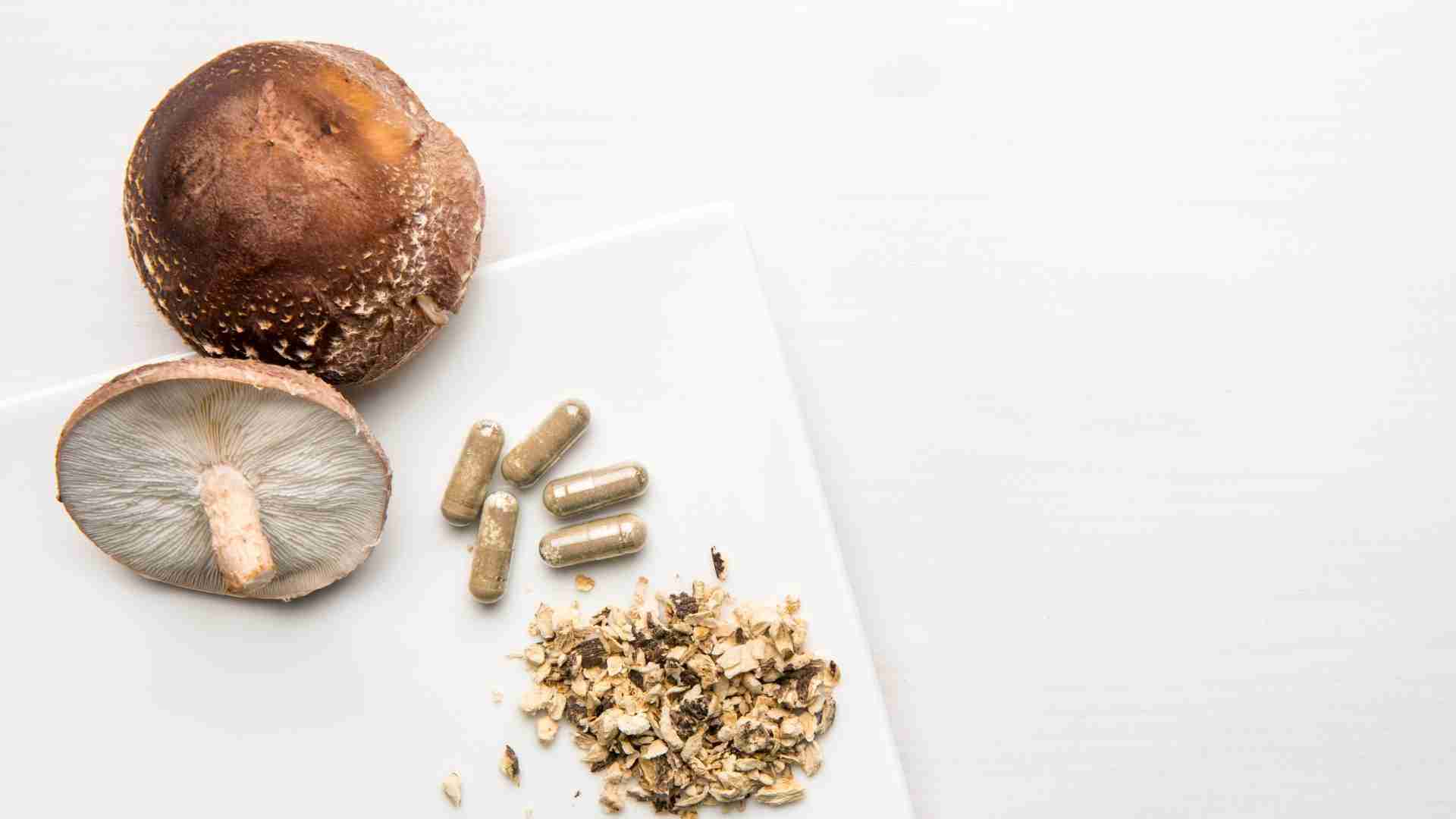 Mushrooms-for-Focus-Our-Tips-for-Supporting-Brain-Health-1