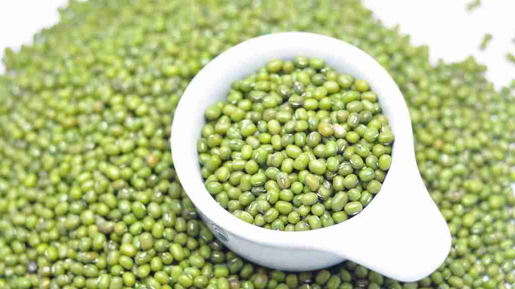 An Overview of Eating Raw Green Beans