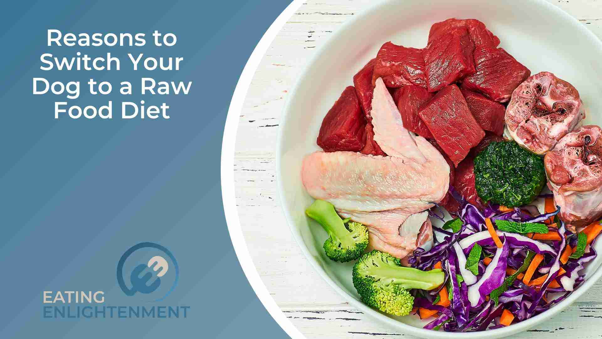 Reasons to Switch Your Dog to a Raw Food Diet