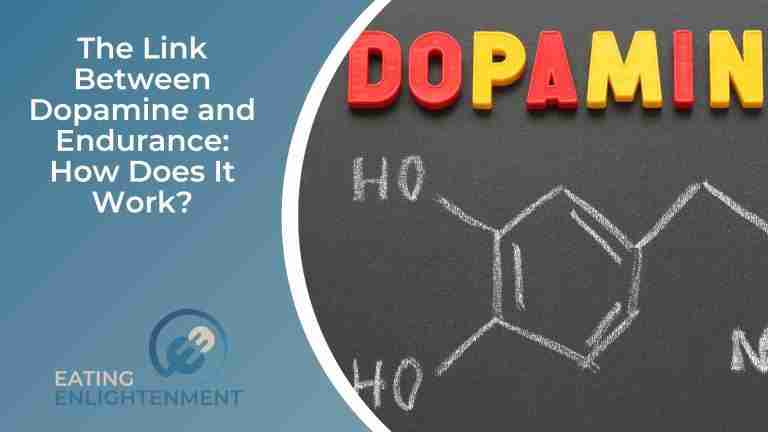 The Link Between Dopamine and Endurance: How Does It Work? — Eating ...