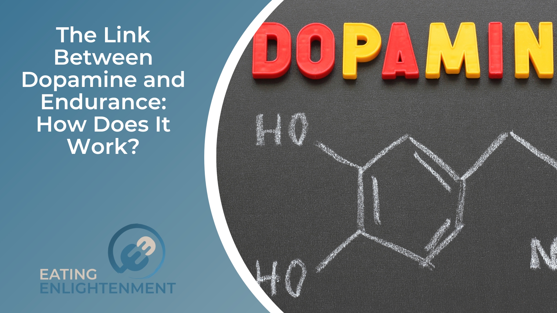 The Link Between Dopamine and Endurance How Does It Work