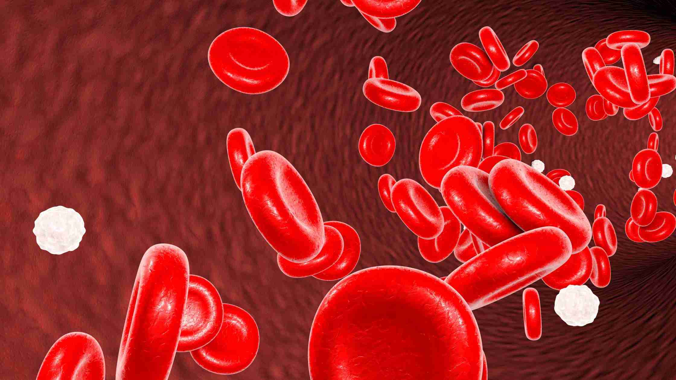 Unlocking the Power of Vitamins to Boost Your Blood Circulation
