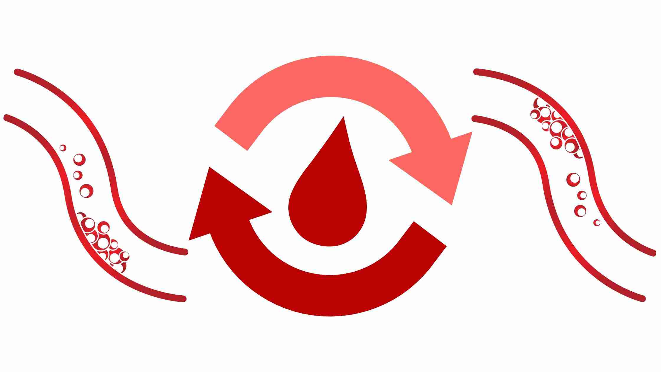 Unlocking the Power of Vitamins to Boost Your Blood Circulation