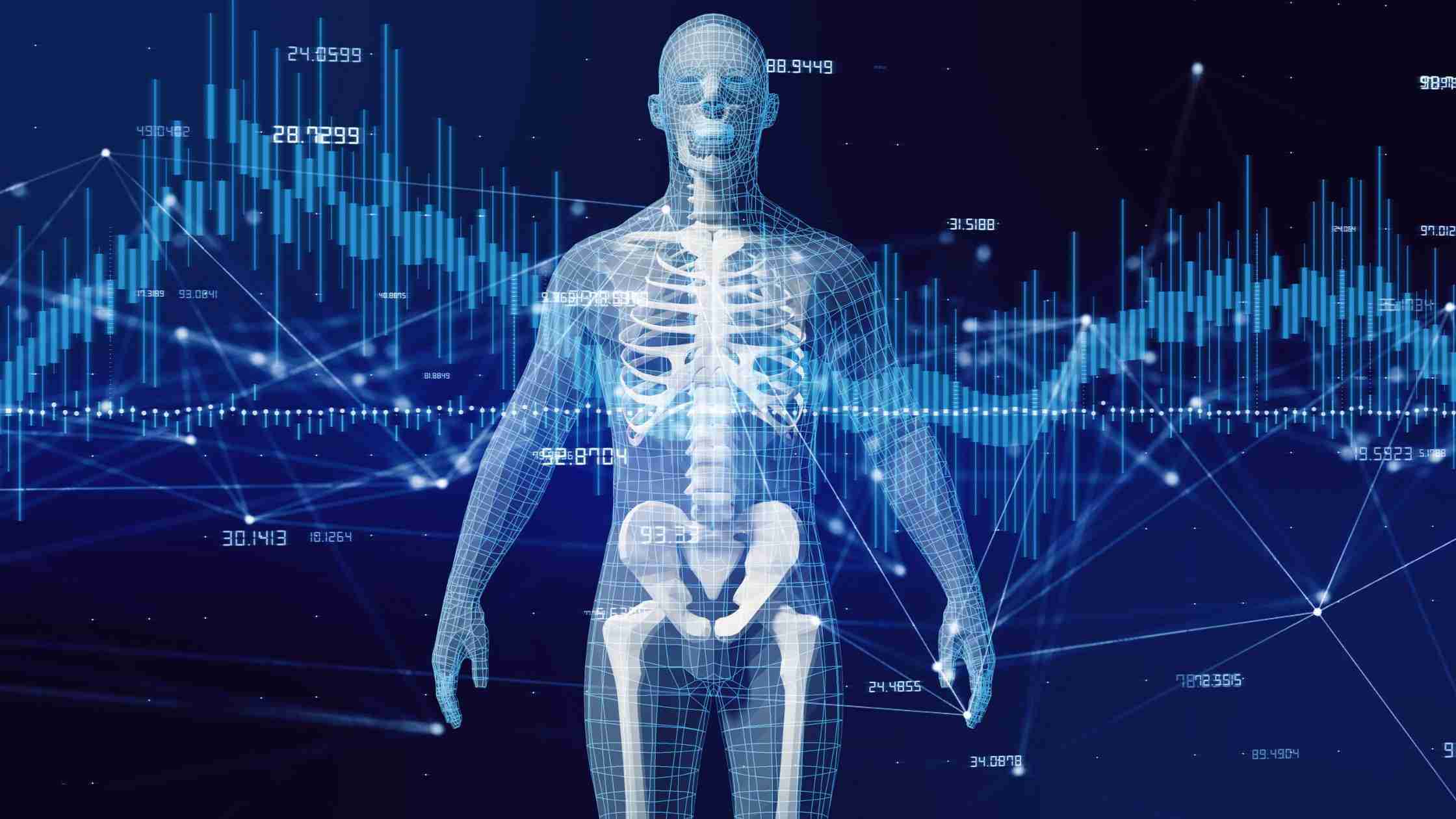 Skeleton of human