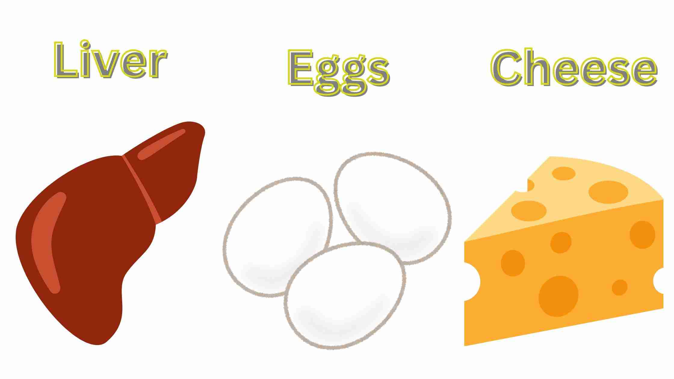 Discover the Best Foods for Vitamin K