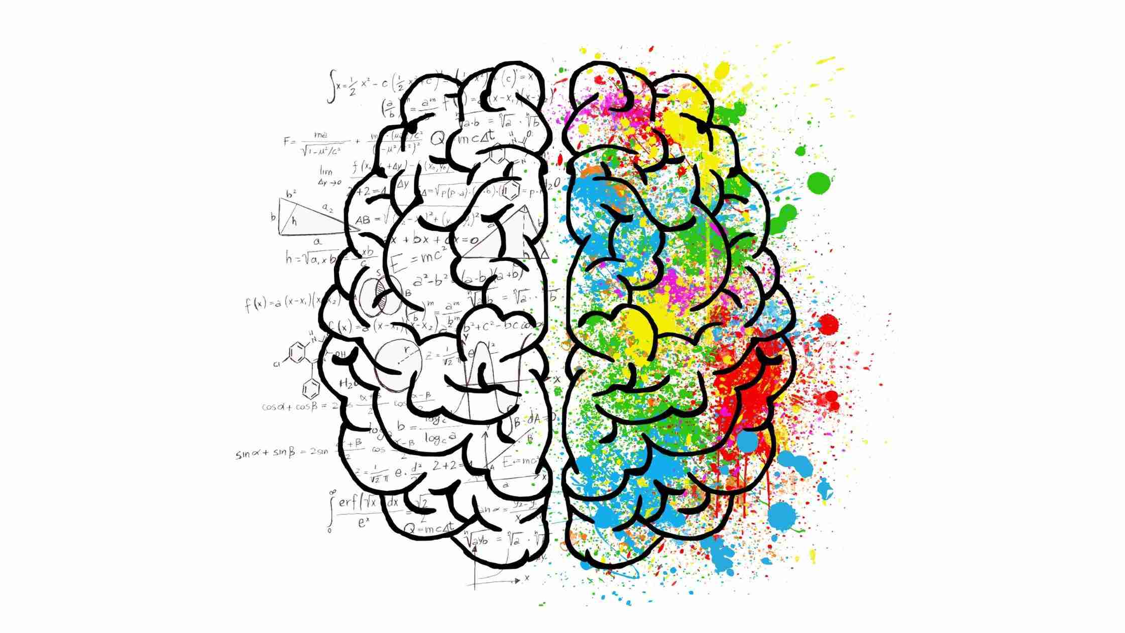 Brain