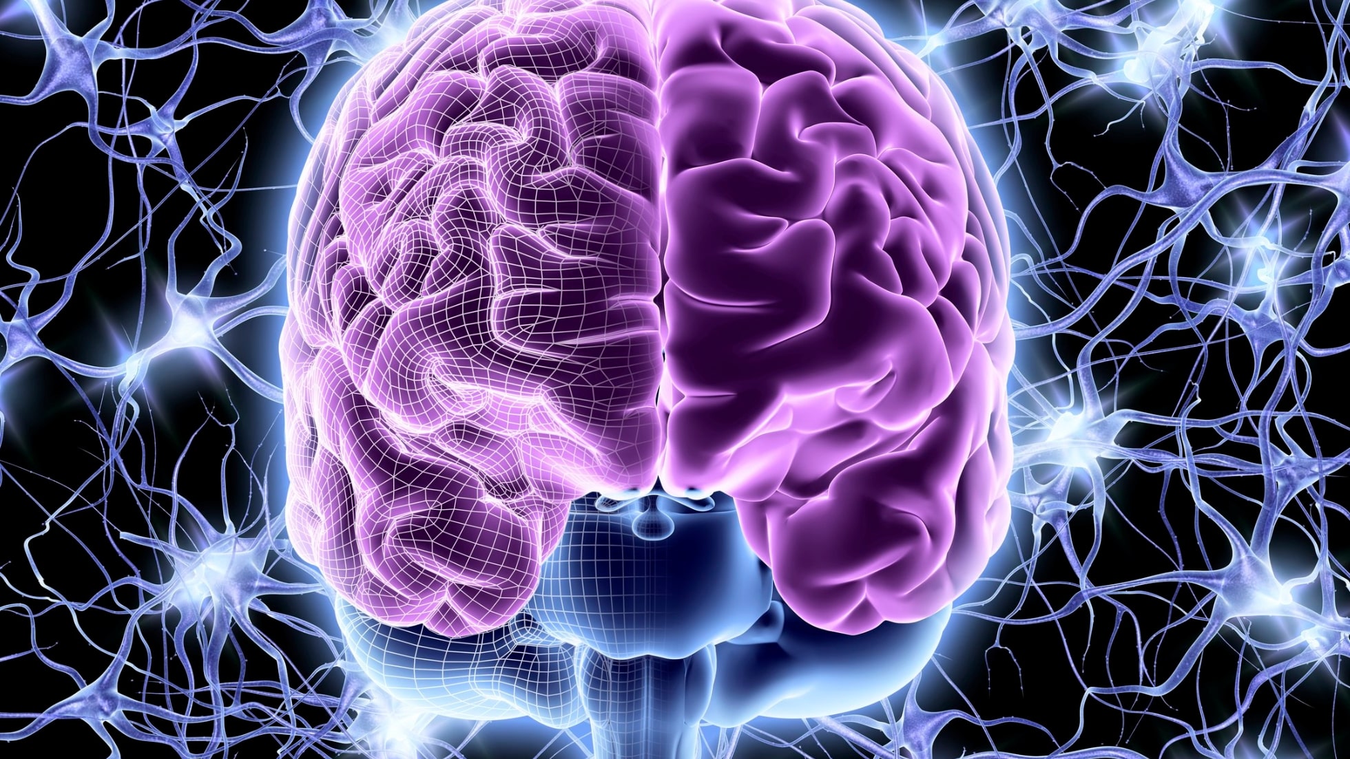 universe brain