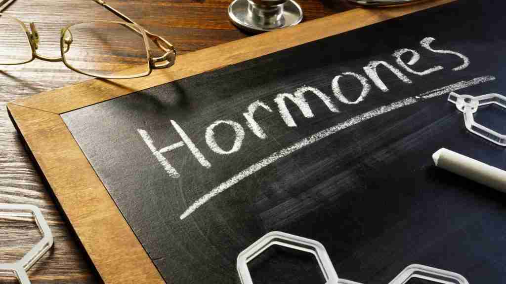How Hormones Impact Your Food Cravings: From PMS to Stress Eating