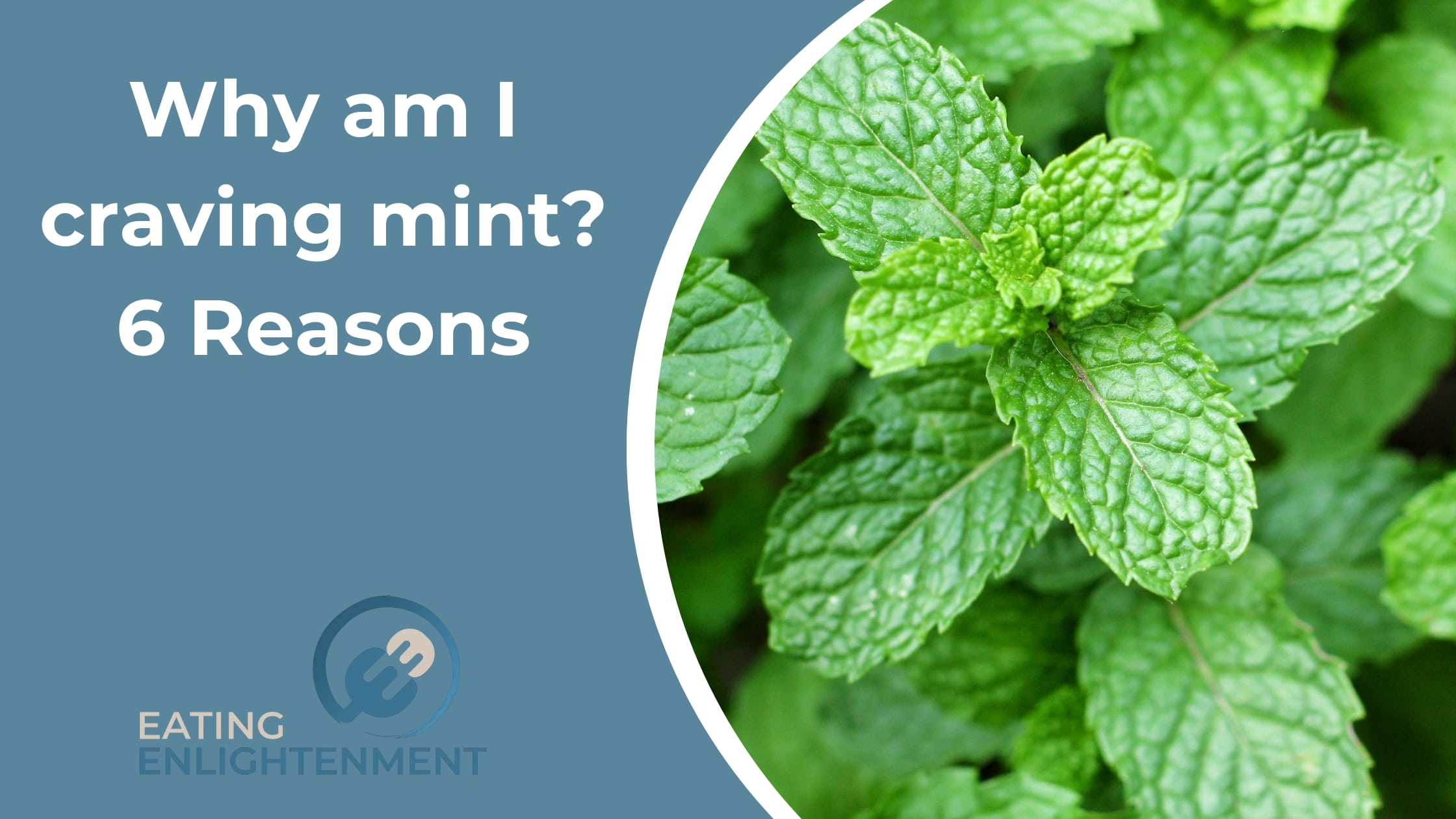 Why am I craving mint? 6 Reasons