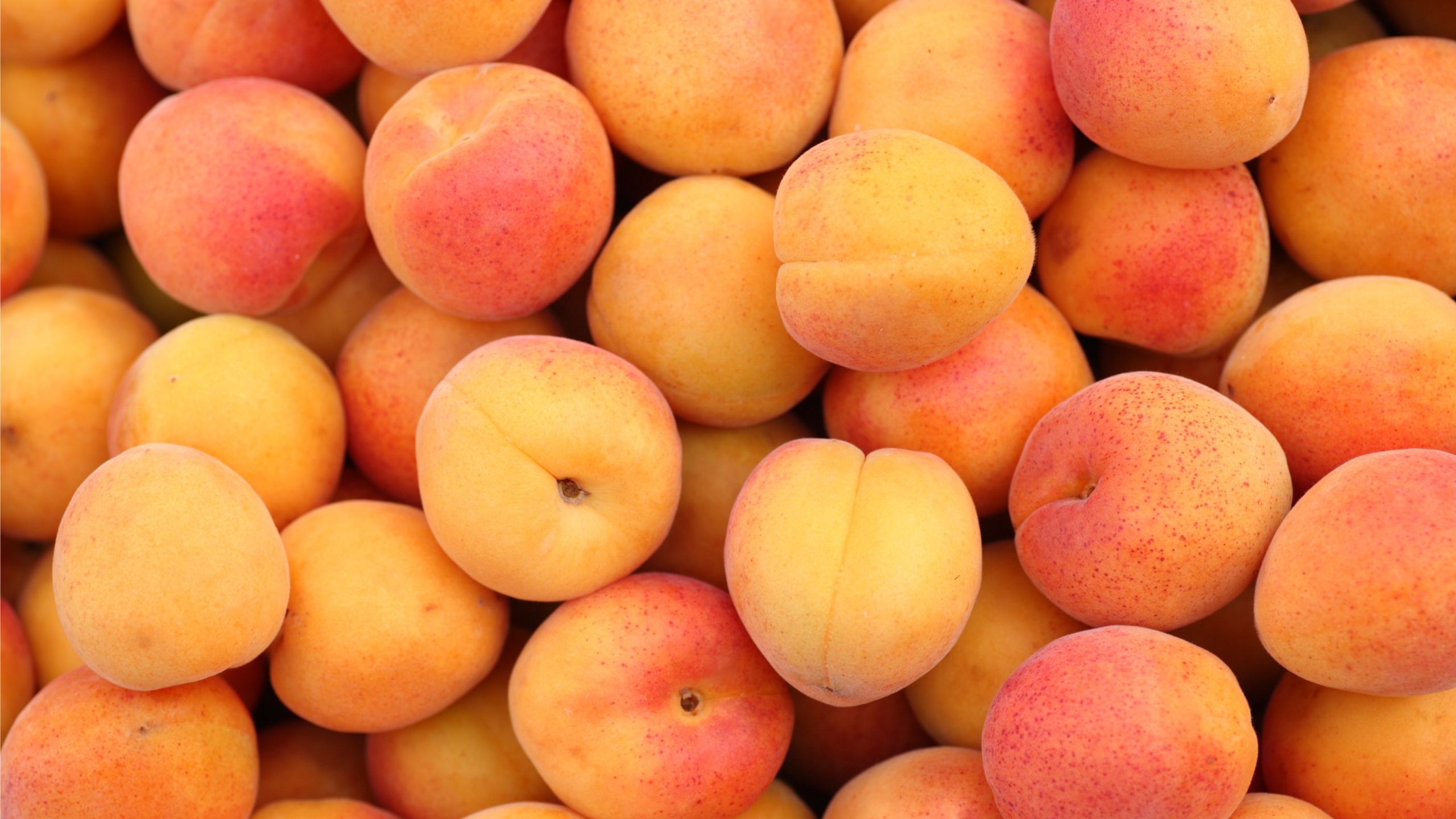 Why Am I Craving Apricots? 8 Reasons